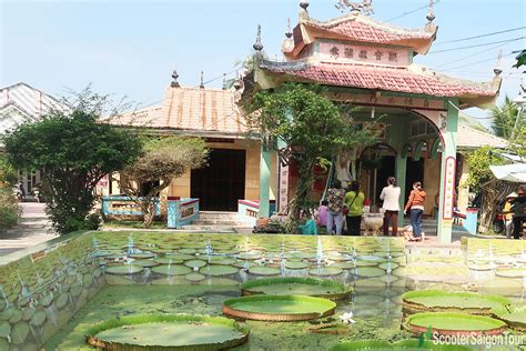  De Zuivere Lotus: Een Mysterieuze Pagoda Verscholen Tussen Bloeiende Bosbomen!