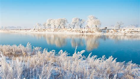  De mysterieuze schoonheid van het Songhua Rivier-Oeverpark: Een unieke mix van geschiedenis en natuurschoon!